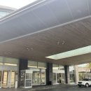 해비치 | 제주 해비치호텔 숙박 후기 서귀포 오션뷰 호텔 추천