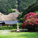 상리길(풍산읍) 이미지