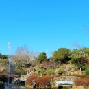 노랑제주 이미지