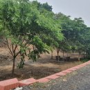 암오케이 요양병원 이미지