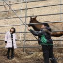 장대농장 이미지