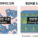 베스트팜약국 이미지