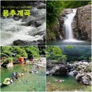 서산 갯마을산악회, 8월 28일(일) 가평 용추계곡...'국내 최장' 물소리와 함께 걷기 명소~!! 이미지