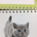달곰미디어콘텐츠연구소