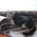 한강동물약품 이미지