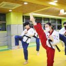 다운 태권도장 이미지