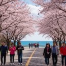 동서기획 쇼핑 | 제주 기업 단체여행 코스, 공기업 실사례로 검증된 일정