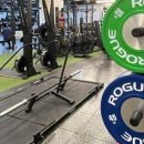 크로스핏 마즈 이미지