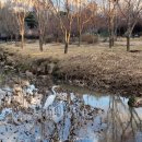 전진태양광발전소 이미지