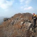 복섬농장 | 거제 선자산~계룡산