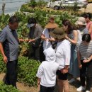 해오름영농조합법인 이미지