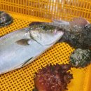 청호유통 이미지