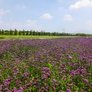 버들공원 이미지