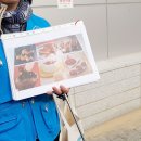 홀릭투어 이미지