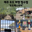 달그리안민박 | 우도 투어 패스로 즐기는 가성비 우도 여행 코스 가볼만한 곳 추천