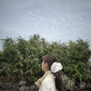 씨유 제주내도해안점 | [제주도 여행] 제주 용머리해안, 산방산 유채꽃밭, 아르떼뮤지엄 달토끼 (4일차)