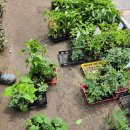 샬롬농장 이미지