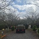 벨리타 캠핑장 | 제주도 동쪽여행 캠핑트레일러 가능한 벨리타캠핑장 잔디 B사이트 1박후기