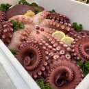 예향축산 이미지