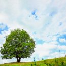 제1종합관광안내소 이미지