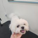 연두미용실