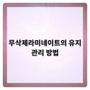 세정치과의원 네이버블로그
