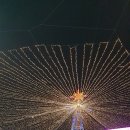 평일농산
