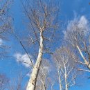 홍련봉공원 이미지