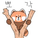 부산 연제구보건소 네이버블로그
