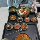 강생이천국 | 치앙마이(1)