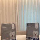 아는수의사동물병원 | 강아지사료추천 피부전문수의사의 저알러지사료 닥터독 급여후기