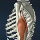 리메디얼 휘트니스 전남대점 이미지