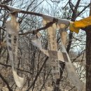 오반목장 이미지