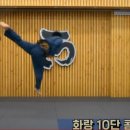 하나태권도전문도장 머니투데이