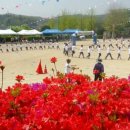 화성월문초등학교 이미지