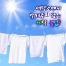 바른세탁소 이미지