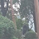 달성공원 동물병원 이미지