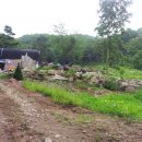 여주-1139 이미지