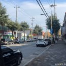 GS미진점 | 김천인추천맛집 미진식당 오징어해물탕 해장국물맛집