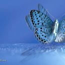 대지(大地)의 꿈 이미지