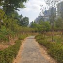 늘솔길근린공원 이미지