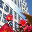 하늘마당 이미지