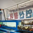 용기포 | 만수동 용기포 횟집 활성게 맛 볼수있는 곳 재방문 후기
