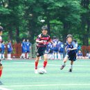 낙동초등학교 이미지