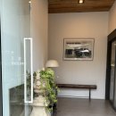 화이트 스프링(WHITE SPRING) 이미지