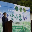 치악산산나물축제 Daum카페