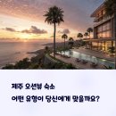 라라피포 제주 | 제주 오션뷰 숙소 어디가 좋을까? 감성 리조트 vs 독채펜션 완벽 비교