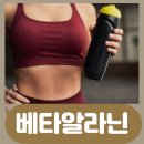 워너짐 장전 이미지