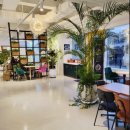 레인보우312
