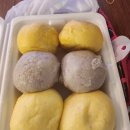 (주)티젤바이오 이미지